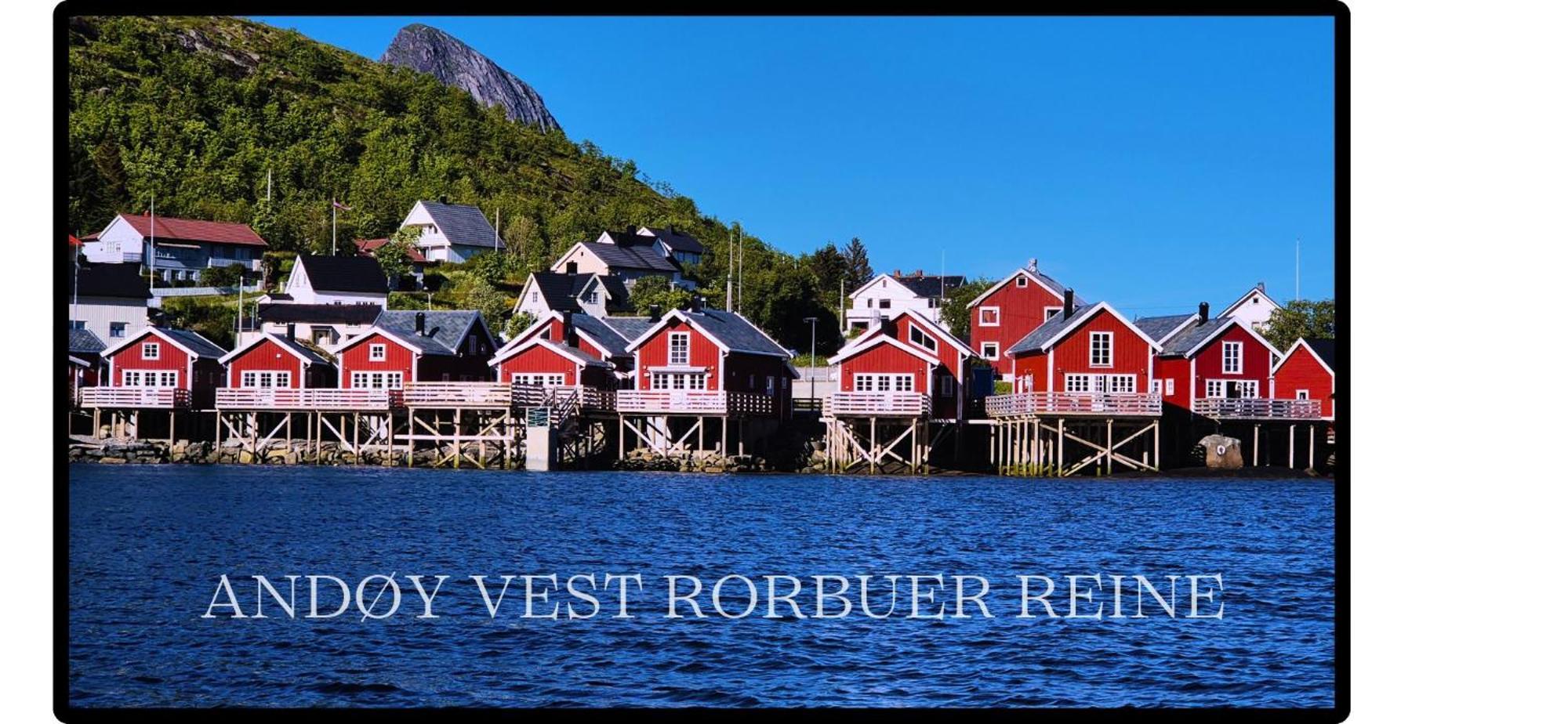 Вілла Andoy Vest Rorbuer Рейне Екстер'єр фото